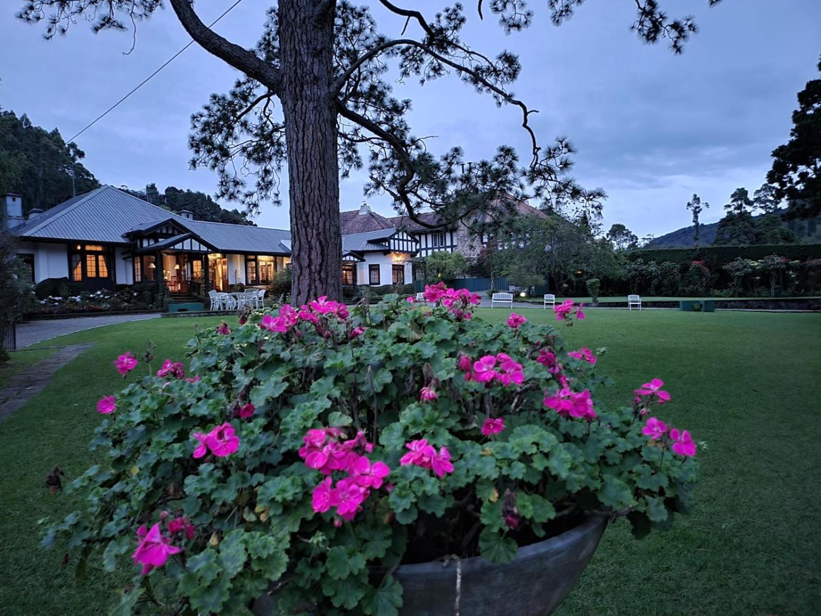 Hill Cottage Nuwara Eliya Dış mekan fotoğraf