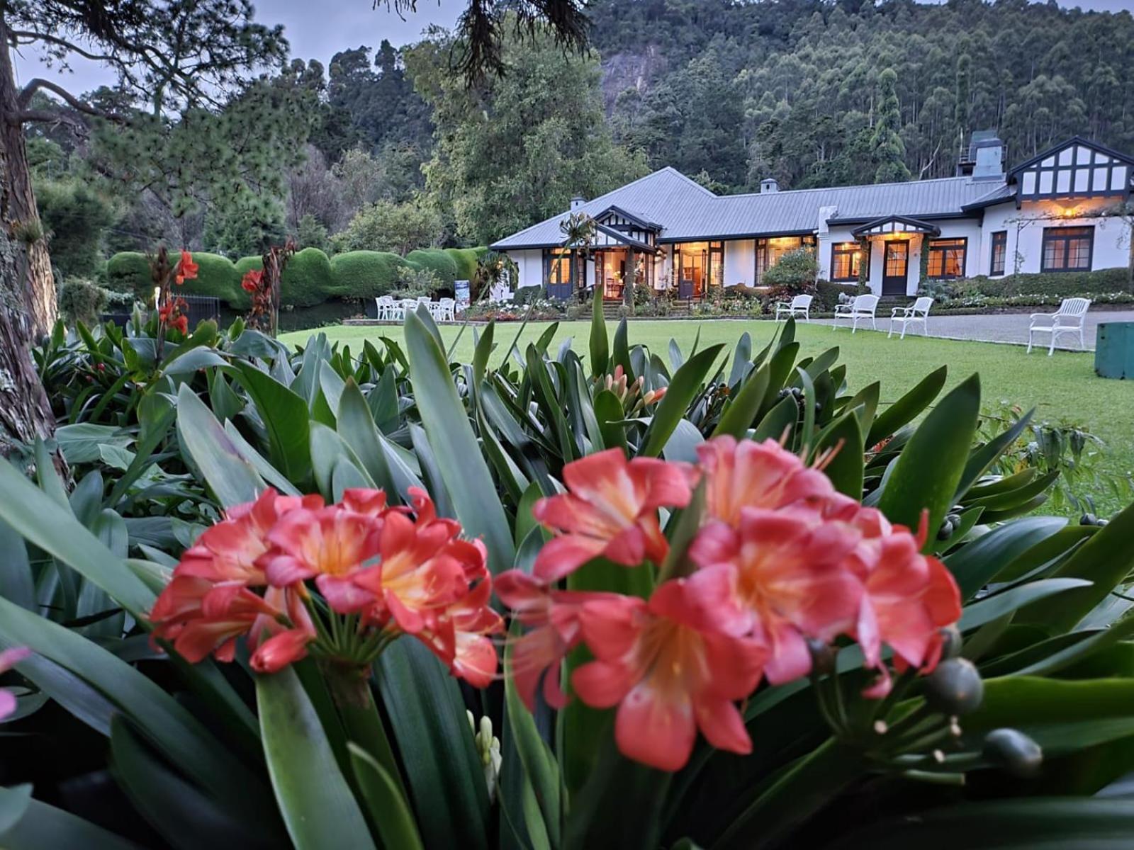 Hill Cottage Nuwara Eliya Dış mekan fotoğraf