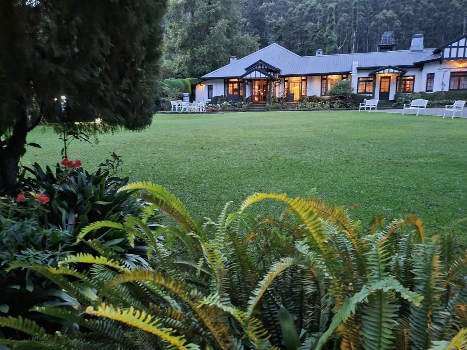 Hill Cottage Nuwara Eliya Dış mekan fotoğraf